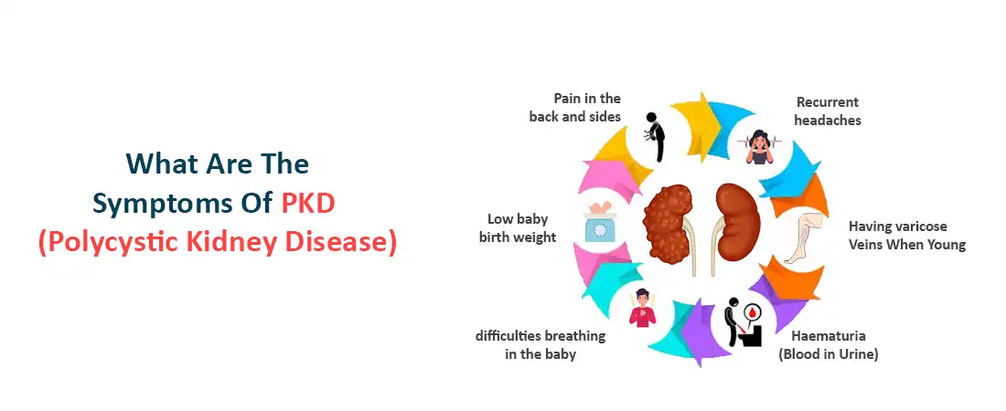 What are the Symptoms of PKD